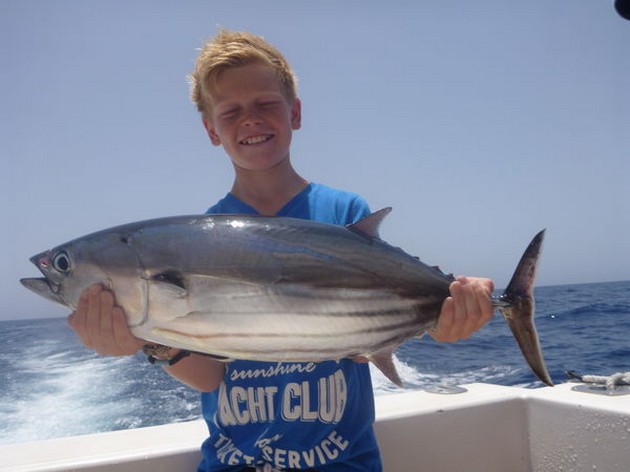 Dorado's & Skipjacks - Cavalier & Blue Marlin Sport Fishing Gran Canaria