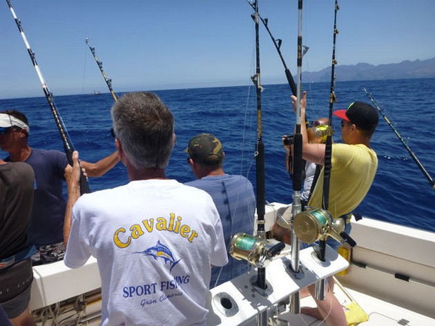 Albacore Explosion - Cavalier & Blue Marlin Sport Fishing Gran Canaria