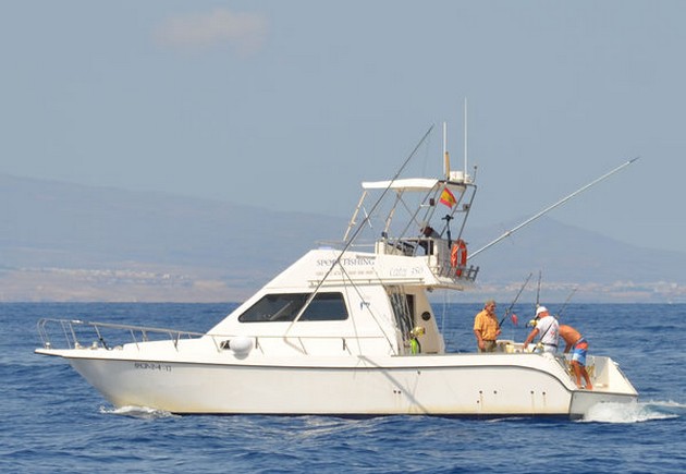 Granskning av den senaste fiskeveckan - Cavalier & Blue Marlin Sport Fishing Gran Canaria