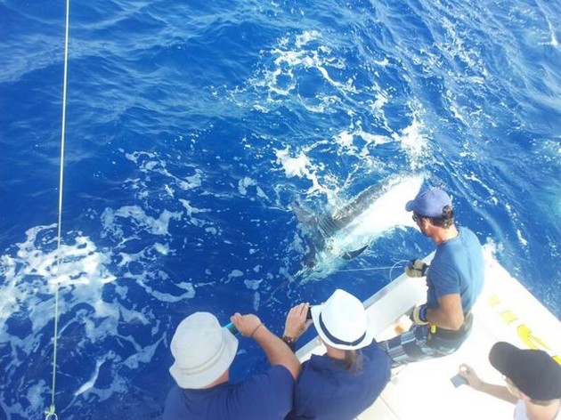 220 och 150 Blue Marlin på båten Cavalier. - Cavalier & Blue Marlin Sport Fishing Gran Canaria