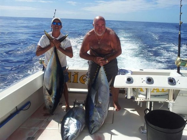 3 Big Eye och 2 Albacore-tonfiskar - Cavalier & Blue Marlin Sport Fishing Gran Canaria