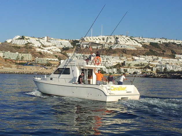 Måttliga fångster av alla båtar - Cavalier & Blue Marlin Sport Fishing Gran Canaria