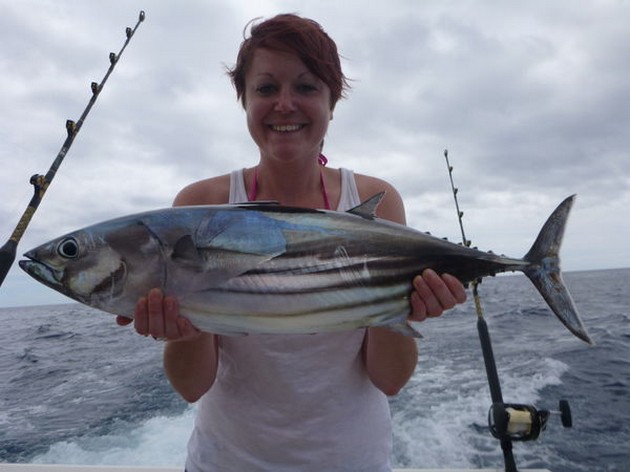 Skipjack Tunas på båten Cavalier - Cavalier & Blue Marlin Sport Fishing Gran Canaria