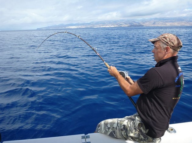 Båda båtarna fångade många tunga strålar! - Cavalier & Blue Marlin Sport Fishing Gran Canaria