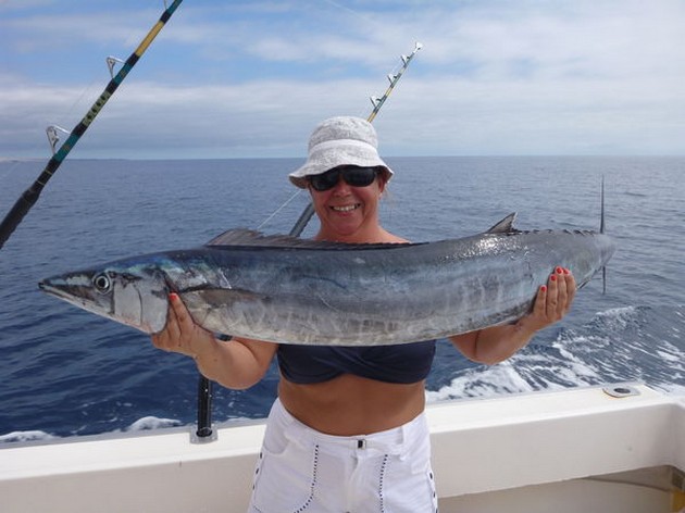 Wahoo är tillbaka igen - Cavalier & Blue Marlin Sport Fishing Gran Canaria