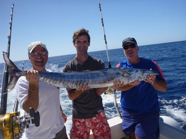 Stora skolor med gul fenfisk - Cavalier & Blue Marlin Sport Fishing Gran Canaria