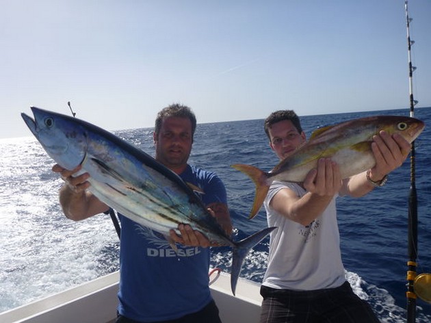 Bra fångster med mindre vind - Cavalier & Blue Marlin Sport Fishing Gran Canaria