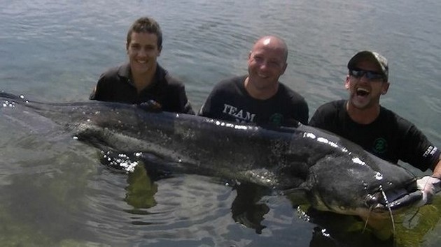 169 lb Ebro havskatt - Cavalier & Blue Marlin Sport Fishing Gran Canaria