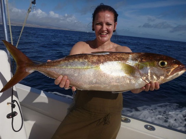 8 Skipjacks och 1 bra Amberjack - Cavalier & Blue Marlin Sport Fishing Gran Canaria