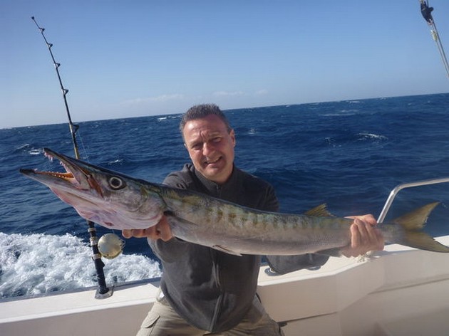 Barracuda, Red Snappers, Atlantische Bonito, Combers ........... etc. - Cavalier & Blue Marlin Sport Fishing Gran Canaria