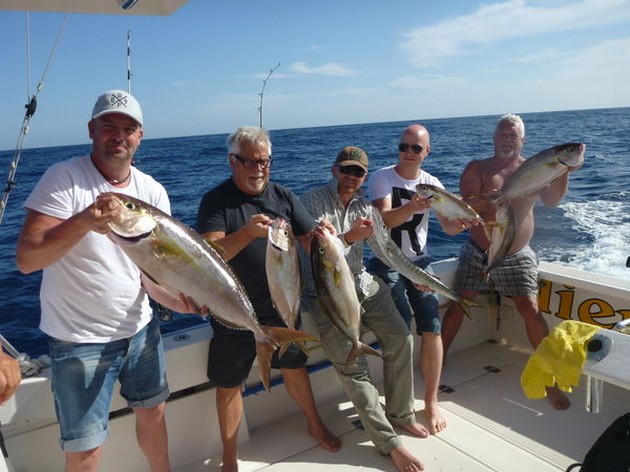 Bra fångster av Amberjacks och Barracuda - Cavalier & Blue Marlin Sport Fishing Gran Canaria