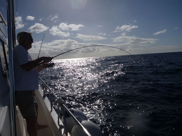 Amberjacks och nordatlantiska Bonito - Cavalier & Blue Marlin Sport Fishing Gran Canaria