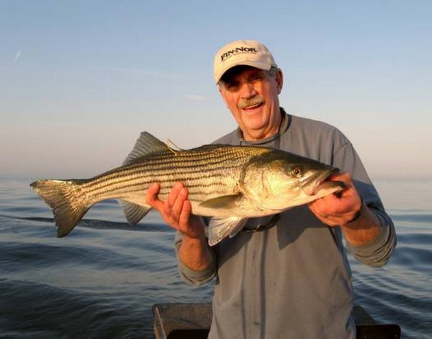 Kapten hämtar tonfisk taggad för 16 år sedan - Cavalier & Blue Marlin Sport Fishing Gran Canaria