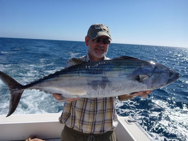 Rays och Nort Atlantic Bonito's - Cavalier & Blue Marlin Sport Fishing Gran Canaria