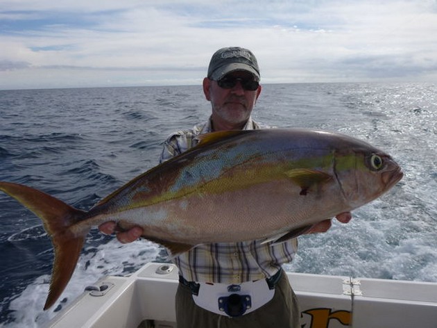 Bra fångster på ett lugnt hav - Cavalier & Blue Marlin Sport Fishing Gran Canaria