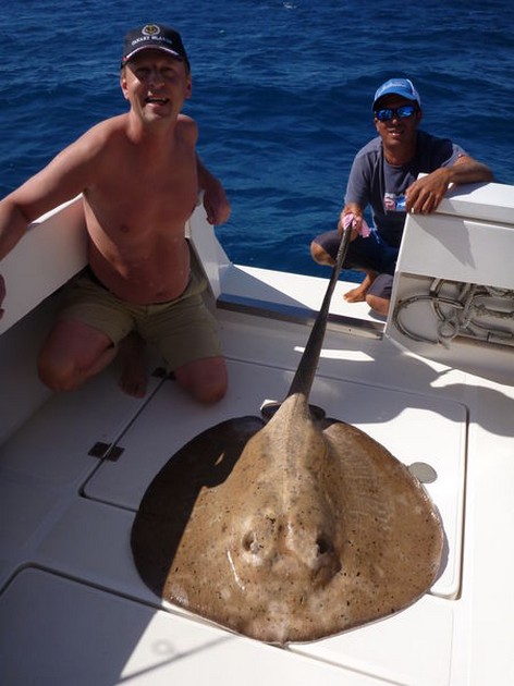 Bottle Nosed Skate, Round Stingray och North Atlantic Bonito's - Cavalier & Blue Marlin Sport Fishing Gran Canaria