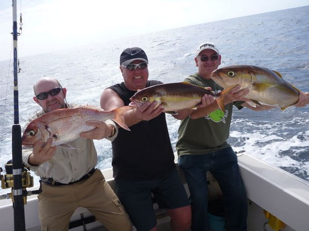 Fantastisk fiskedag med en fångst på 14 Amberjacks - Cavalier & Blue Marlin Sport Fishing Gran Canaria