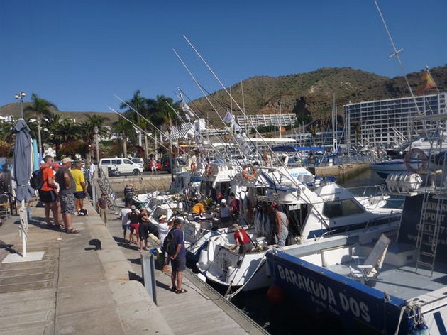 Tonfiskexplosion på södra Gran Canaria - Cavalier & Blue Marlin Sport Fishing Gran Canaria