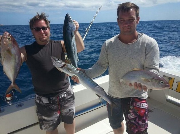 Är de borta? - Cavalier & Blue Marlin Sport Fishing Gran Canaria