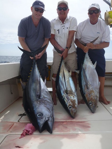 500 lb Blåfenad tonfisk släppt! - Cavalier & Blue Marlin Sport Fishing Gran Canaria