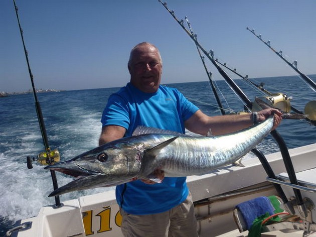 Wahoo - Cavalier & Blue Marlin Sport Fishing Gran Canaria