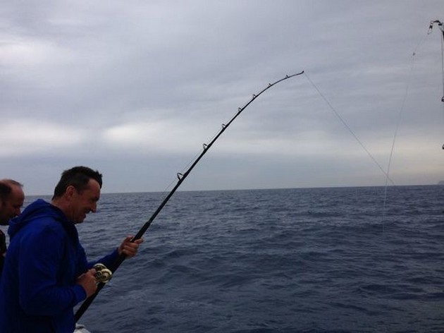 Bra fångster på båten Cavalier - Cavalier & Blue Marlin Sport Fishing Gran Canaria