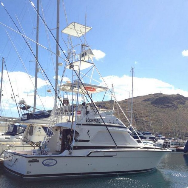 1: a Blue Marlin - Cavalier & Blue Marlin Sport Fishing Gran Canaria