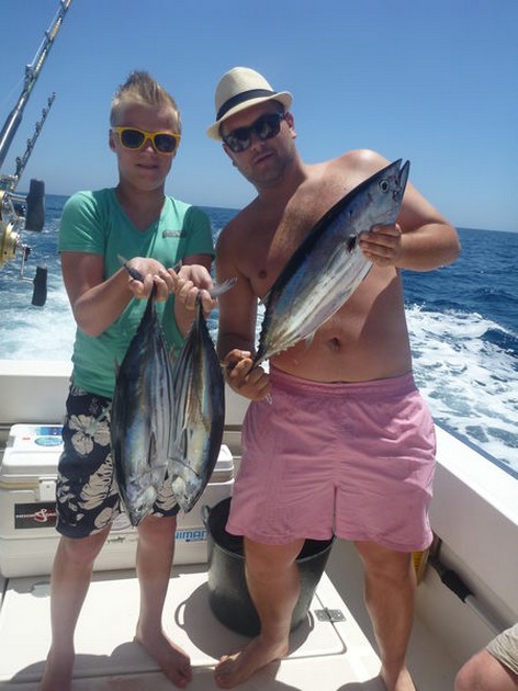 Återigen stora skolor med tusentals Skipjacks - Cavalier & Blue Marlin Sport Fishing Gran Canaria