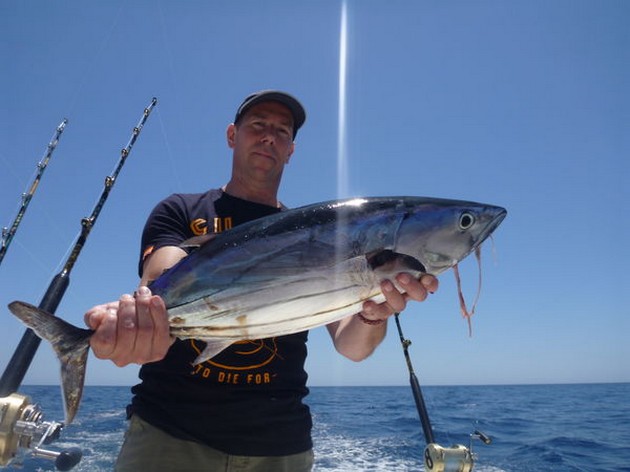 Måttliga fångster av Skipjack Tuna - Cavalier & Blue Marlin Sport Fishing Gran Canaria