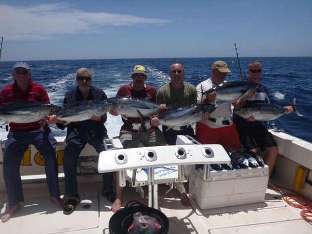 6 Albacores fångade av båten Cavalier - Cavalier & Blue Marlin Sport Fishing Gran Canaria