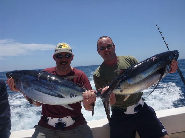 En annan Blue Marlin och mer Albacore-tonfisk - Cavalier & Blue Marlin Sport Fishing Gran Canaria