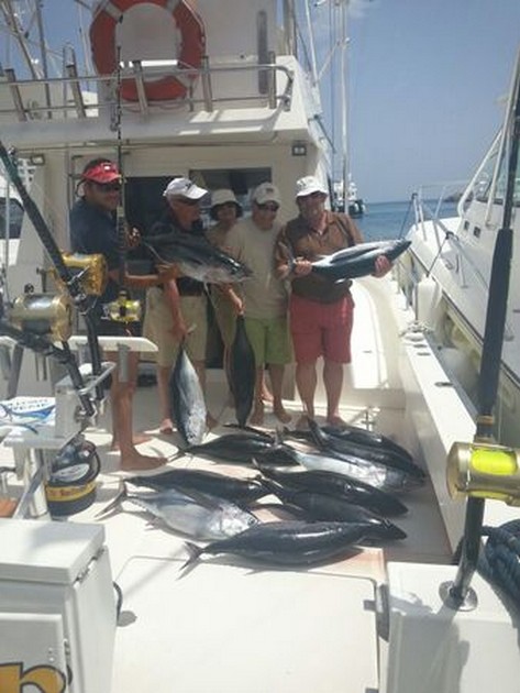 Albacores! - Cavalier & Blue Marlin Sport Fishing Gran Canaria