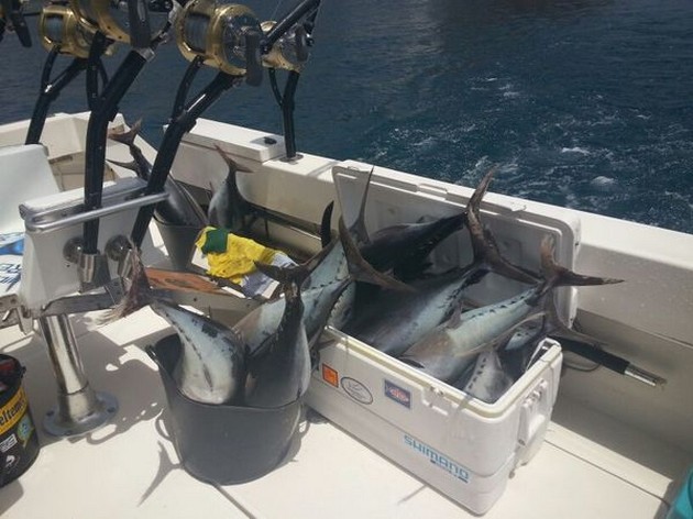 Blå förlorad av båten Cavalier - Cavalier & Blue Marlin Sport Fishing Gran Canaria