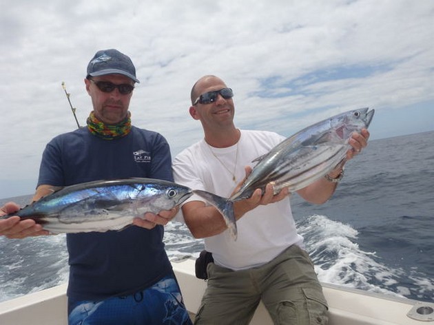 White Marlin och lite Skipjack tonfisk - Cavalier & Blue Marlin Sport Fishing Gran Canaria