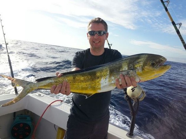 Blue Marlin och 22 pund Dorado - Cavalier & Blue Marlin Sport Fishing Gran Canaria