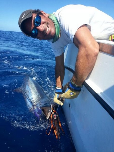 Cavalier släppte sin 4: e Blue Marlin! - Cavalier & Blue Marlin Sport Fishing Gran Canaria