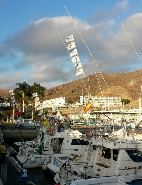 Massor av Albacores på södra Gran Canaria - Cavalier & Blue Marlin Sport Fishing Gran Canaria