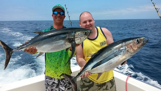 Bra fångster av Albacore tonfisk - Cavalier & Blue Marlin Sport Fishing Gran Canaria