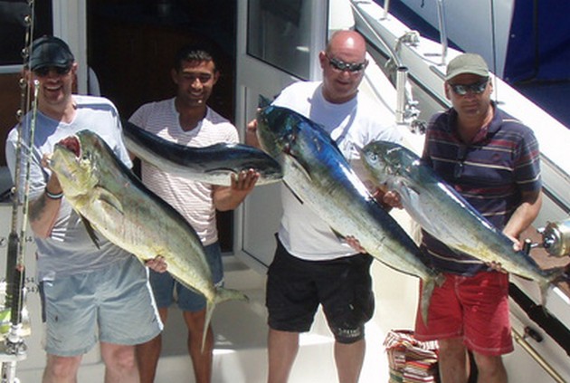 Dorado's & Skipjacks - Cavalier & Blue Marlin Sport Fishing Gran Canaria