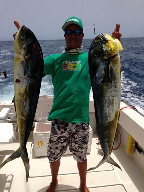 Skipjacks & Dorado's - Cavalier & Blue Marlin Sport Fishing Gran Canaria