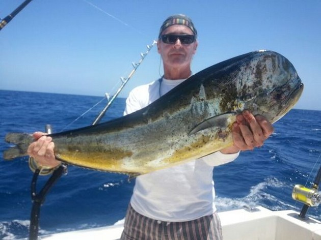 1 Spearfish och några Dorado's av god storlek - Cavalier & Blue Marlin Sport Fishing Gran Canaria