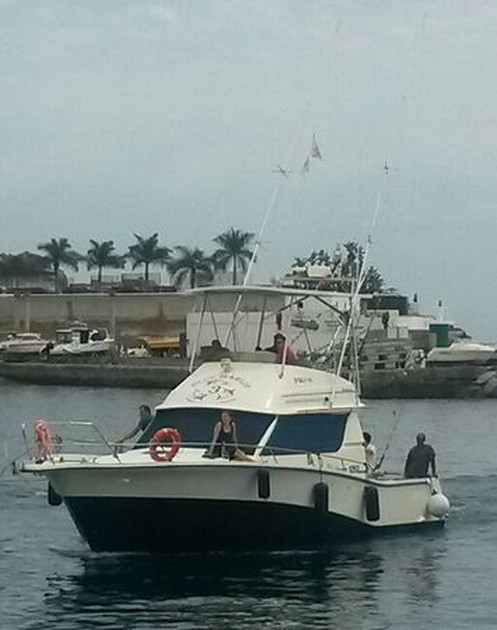 White Marlin och några stora Dorado - Cavalier & Blue Marlin Sport Fishing Gran Canaria