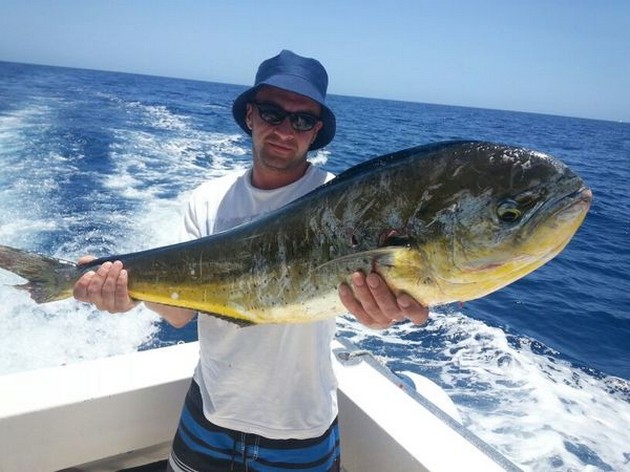 Dorado's - Cavalier & Blue Marlin Sport Fishing Gran Canaria