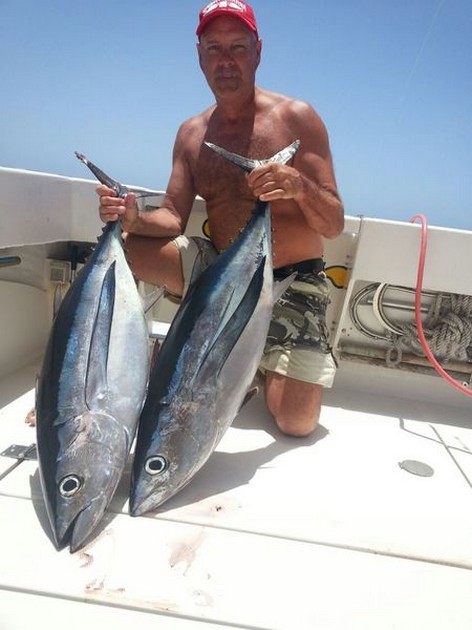 Albacores - Cavalier & Blue Marlin Sport Fishing Gran Canaria