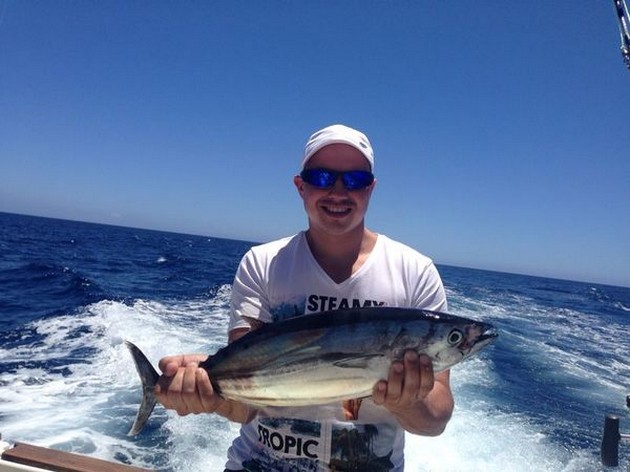 Skipjacks och 1 White Marlin - Cavalier & Blue Marlin Sport Fishing Gran Canaria