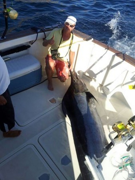 200 kg Blue Marlin fångad av Gijs ten Velde - Cavalier & Blue Marlin Sport Fishing Gran Canaria