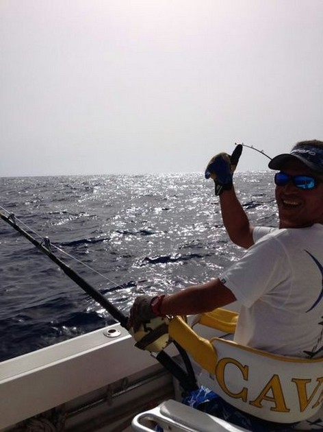 6 bitar av vit och 1 av Blue Marlin - Cavalier & Blue Marlin Sport Fishing Gran Canaria