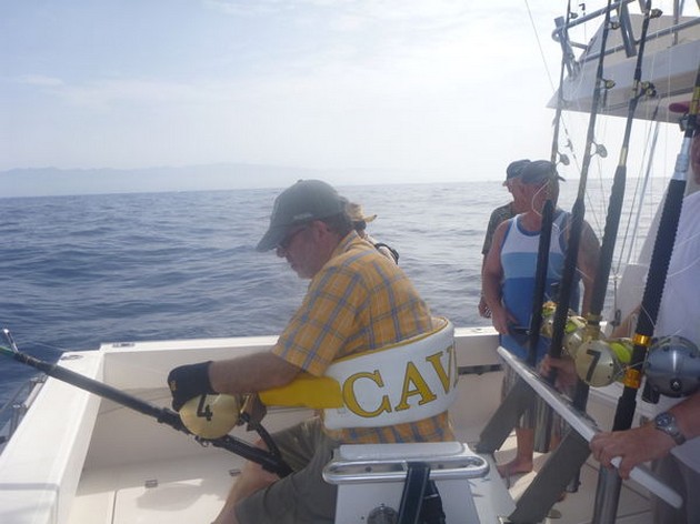 En kort genomgång av förra fiskeveckan - Cavalier & Blue Marlin Sport Fishing Gran Canaria