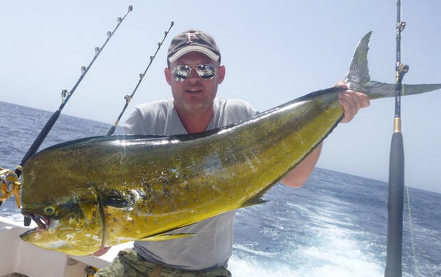 35 kg Dorado fångad på båten Cavalier - Cavalier & Blue Marlin Sport Fishing Gran Canaria