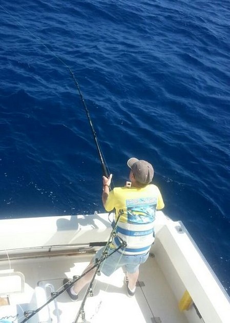 Massor av vita marliner på södra Gran Canaria - Cavalier & Blue Marlin Sport Fishing Gran Canaria